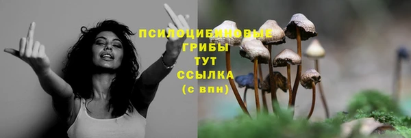spice Михайловка